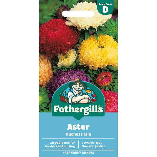 Large, vibrant Aster Duchess Mixed flowers in shades of red, yellow, and purple with incurved petals.