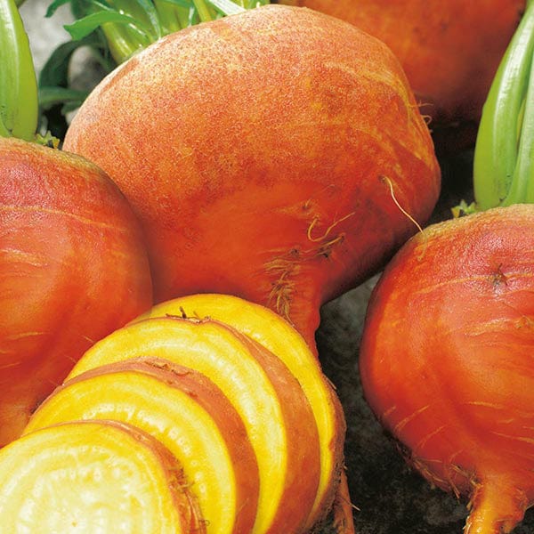 Fothergill's Beetroot Burpees Golden Seeds
