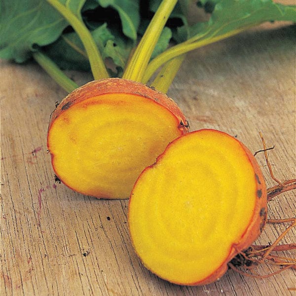 Fothergill's Beetroot Burpees Golden Seeds