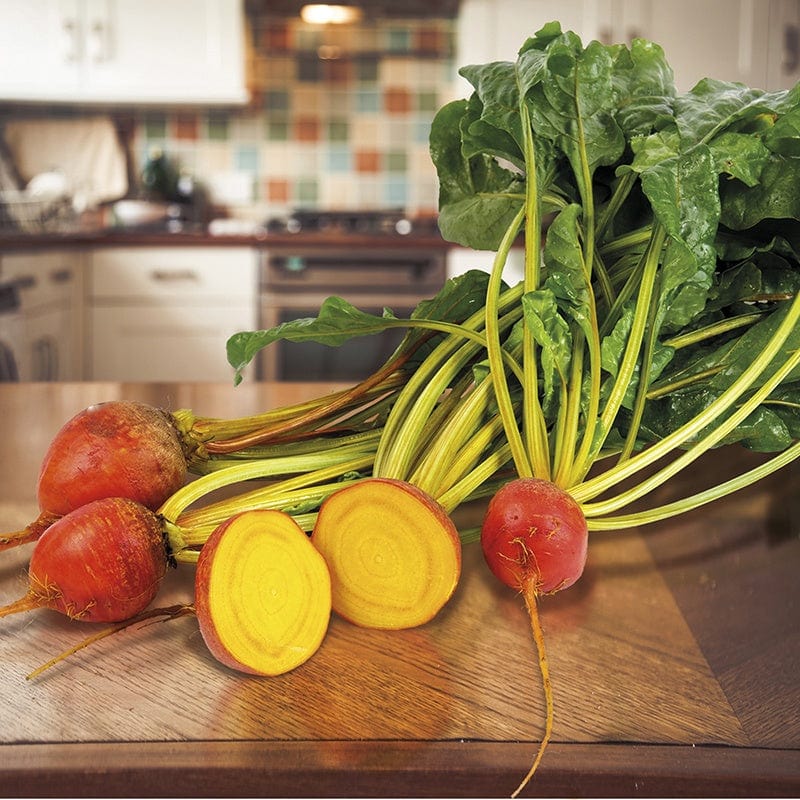 Fothergill's Beetroot Golden Eye Seeds