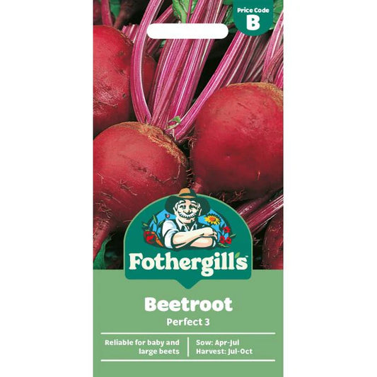 Fothergill's Beetroot Perfect 3 Seeds