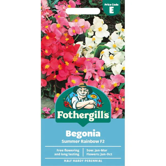 Fothergill's Begonia Summer Rainbow F2 Seeds