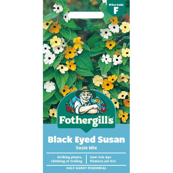 Fothergill's Black-eyed Susan Susie Mixed Seeds