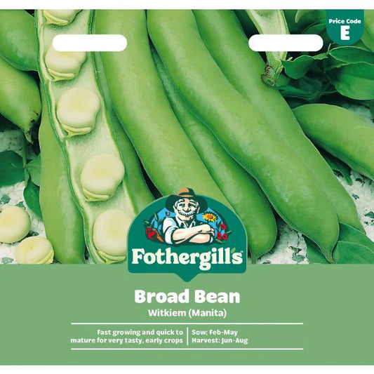 Fothergill's Broad Bean Witkiem Manita Seeds