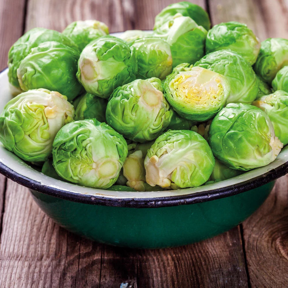 Fothergill's Brussels Sprout Brechin F1 Seeds