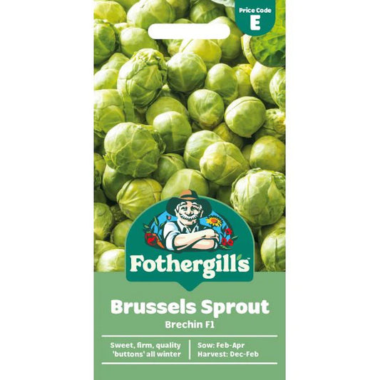 Fothergill's Brussels Sprout Brechin F1 Seeds