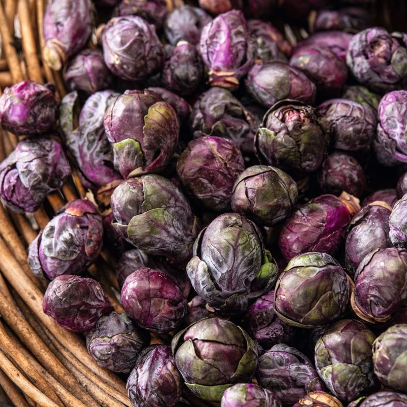 Fothergill's Brussels Sprout Red Bull Seeds