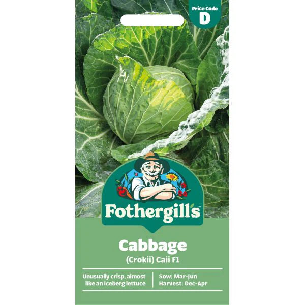 Fothergill's Cabbage Crokii Caii F1 Seeds
