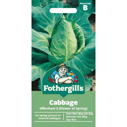 Fothergill's Cabbage Offenham 2 Seeds