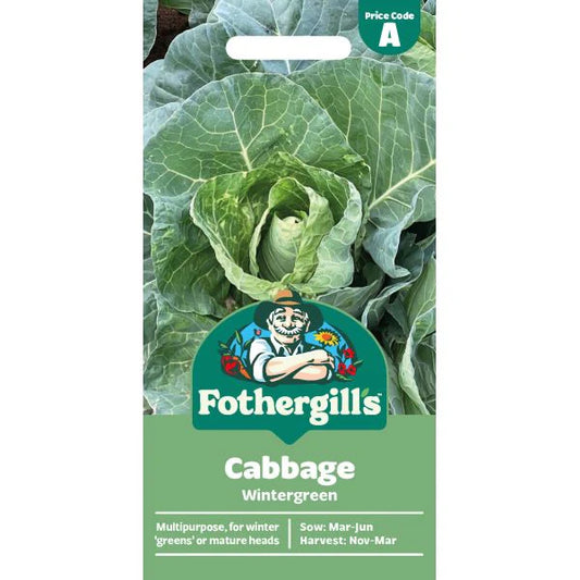 Fothergill's Cabbage Wintergreen Vegetable Seeds
