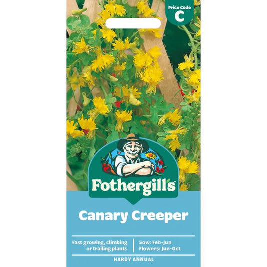 Fothergill's Canary Creeper Seeds