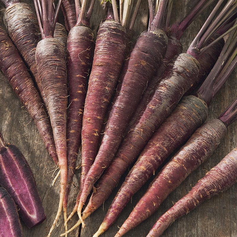 Fothergill's Carrot Purple Sun F1 Seeds