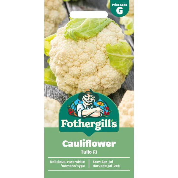 Fothergill's Cauliflower Tulio F1 Seeds