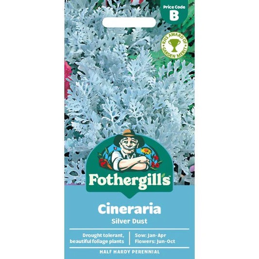 Fothergill's Cineraria Silver Dust Seeds