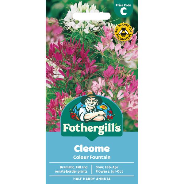 Fothergill's Cleome Colour Fountain Seeds