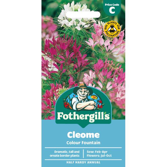 Fothergill's Cleome Colour Fountain Seeds