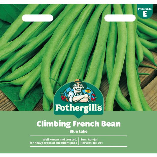 Fothergill's Climbing Bean Blue Lake Seeds
