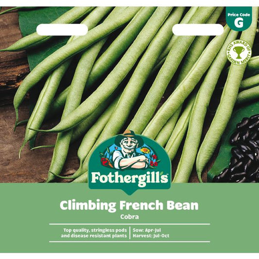 Fothergill's Climbing Bean Cobra Seeds