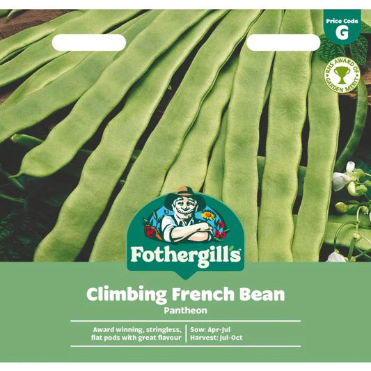 Fothergill's Climbing Bean Pantheon Seeds