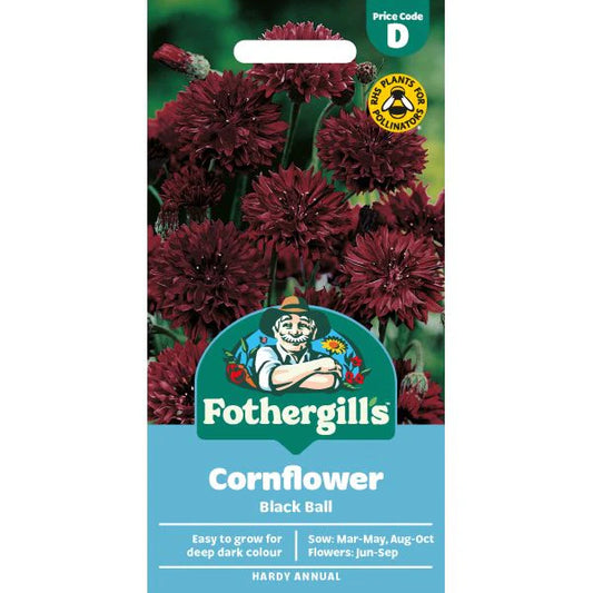 Fothergill's Cornflower Black Ball Seeds