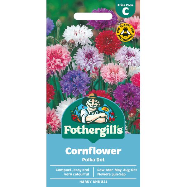 Fothergill's Cornflower Polka Dot Seeds