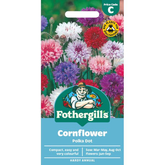 Fothergill's Cornflower Polka Dot Seeds
