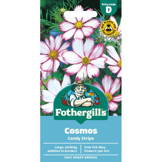 Fothergill's Cosmos Candy Stripe Seeds
