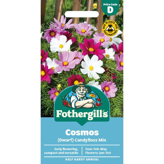 Fothergill's Cosmos Dwarf Candyfloss Mix Seeds