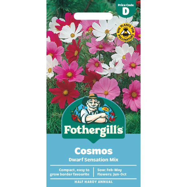 Fothergill's Cosmos Dwarf Sensation Mixed Seeds