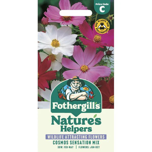 Fothergill's Cosmos Sensation Mixed Seeds