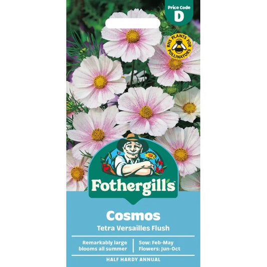 Fothergill's Cosmos Tetra Versailles Flush Seeds