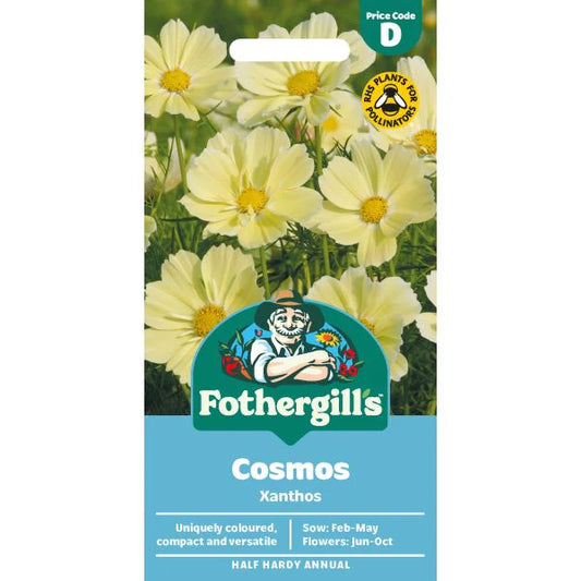 Fothergill's Cosmos Xanthos Seeds