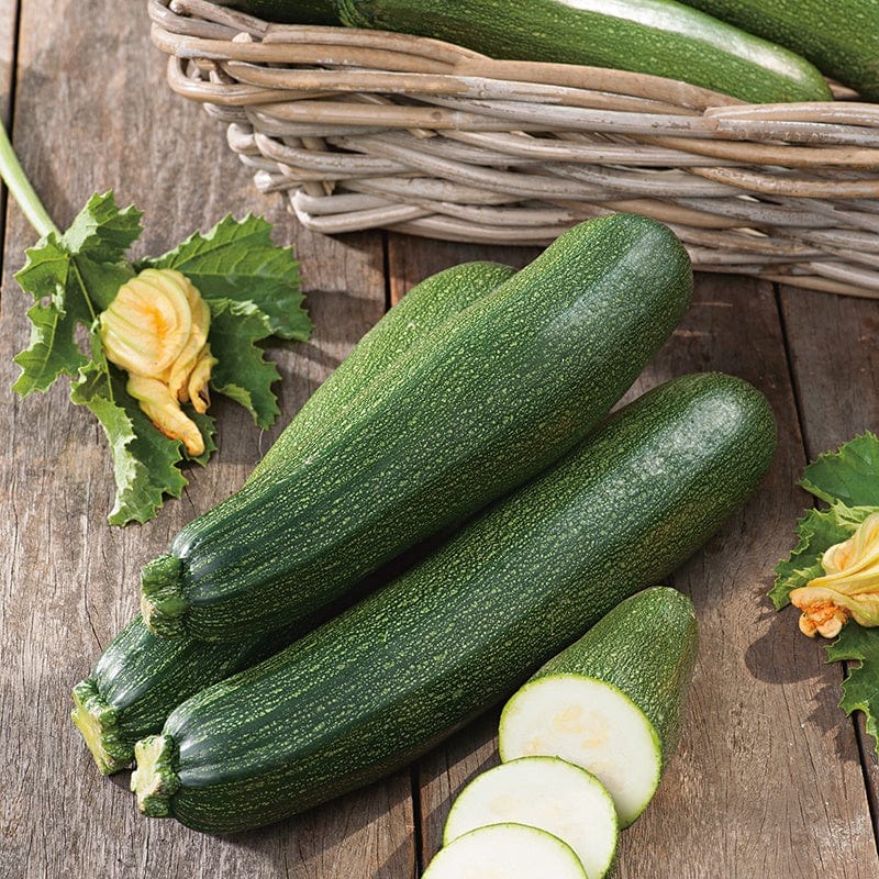 Fothergill's Courgette Blackstar F1 Vegetable Seeds