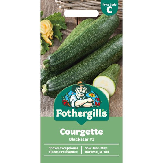 Fothergill's Courgette Blackstar F1 Vegetable Seeds