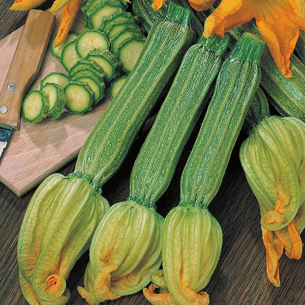Fothergill's Courgette Romanesco Seeds