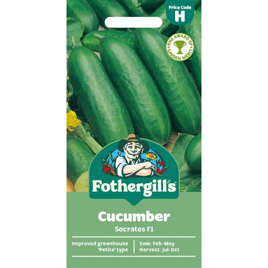 Fothergill's Cucumber Socrates F1 Seeds