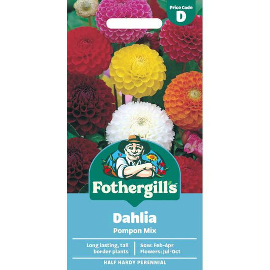 Fothergill's Dahlia Pompon Mixed Seeds