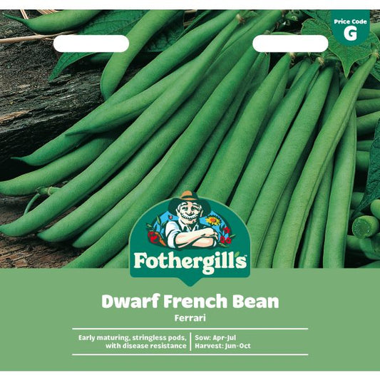 Fothergill's Dwarf Bean Ferrari Seeds