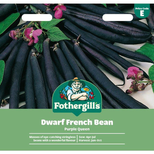 Fothergill's Dwarf Bean Purple Queen Seeds