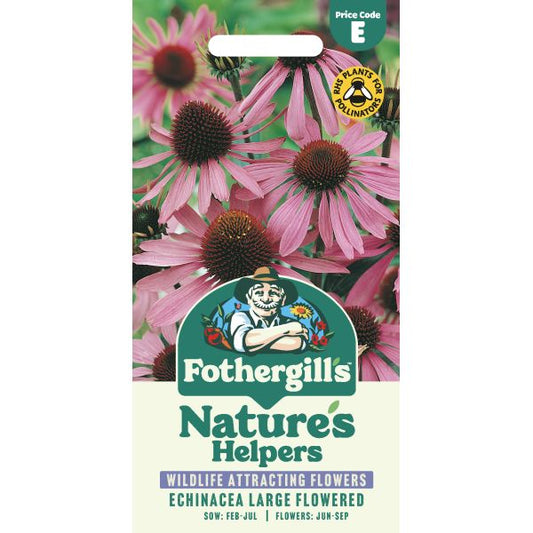 Fothergill's Echinacea Large Flowered Purple Coneflower Seeds