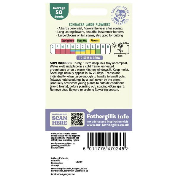 Fothergill's Echinacea Large Flowered Purple Coneflower Seeds