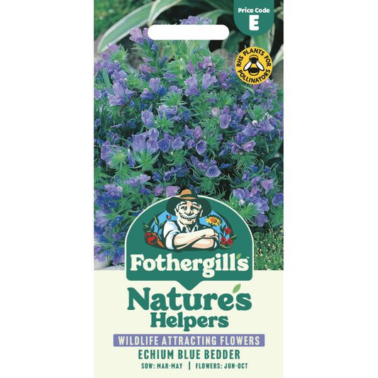 Fothergill's Echium Blue Bedder Seeds