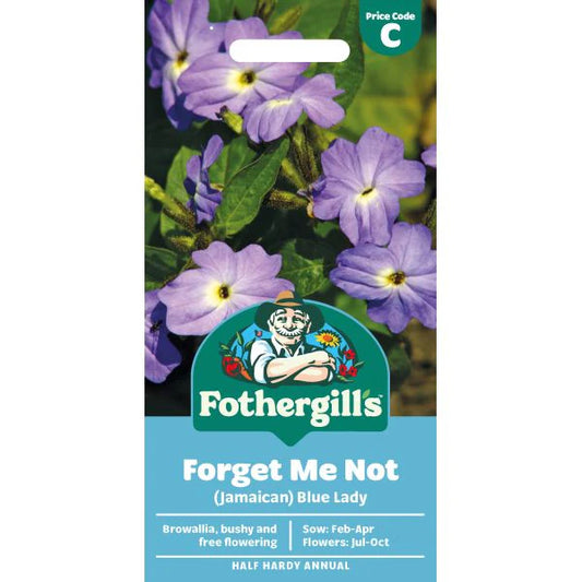Fothergill's Forget Me Not Indigo Seeds