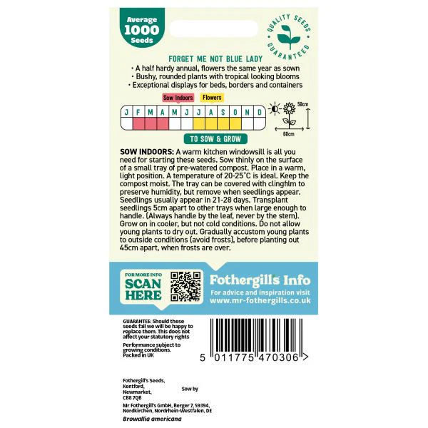 Fothergill's Forget Me Not Jamaican Blue Lady Seeds