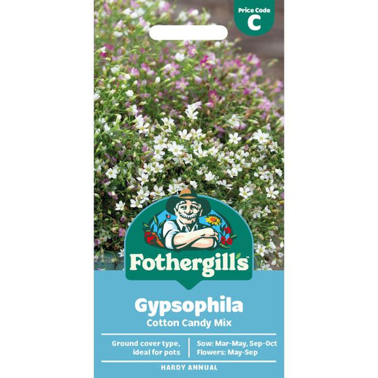 Fothergill's Gypsophila Cotton Candy Mix Seeds