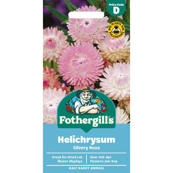 Fothergill's Helichrysum Silvery Rose Seeds
