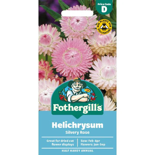 Fothergill's Helichrysum Silvery Rose Seeds