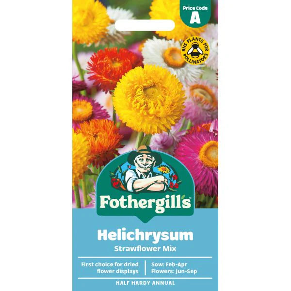 Fothergill's Helichrysum Strawflower Seeds