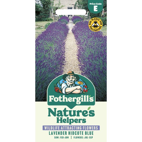 Fothergill's Lavender Hidcote Blue Seeds