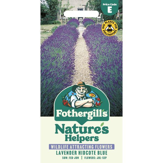 Fothergill's Lavender Hidcote Blue Seeds